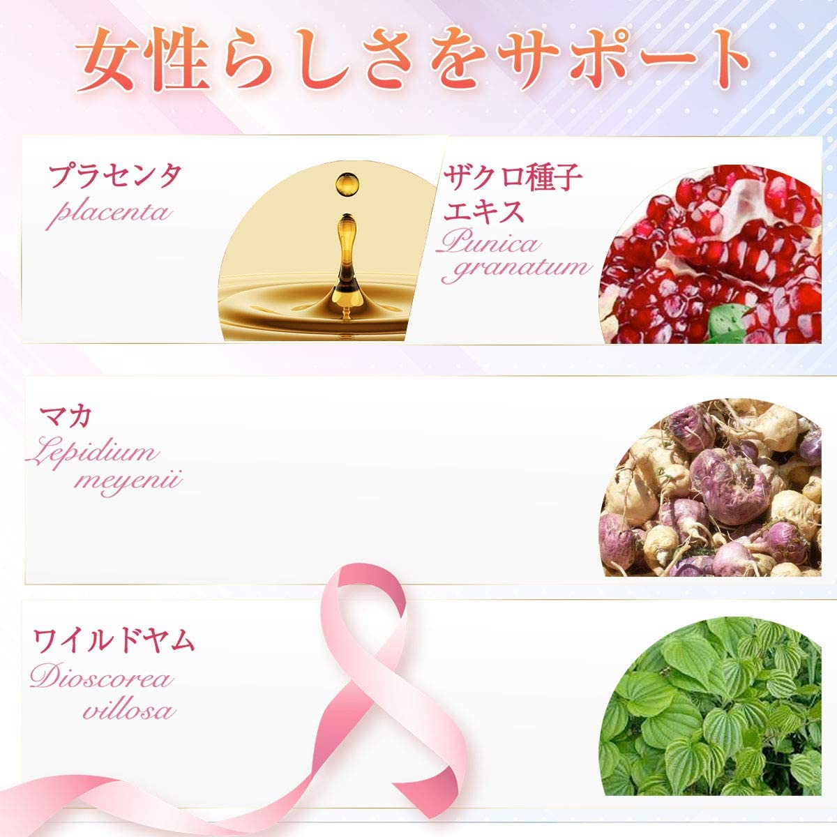 協和食研 SweetPlus AM-LQZT-AQWSの商品画像4 