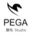PEGA(ペガ) PEGAの商品画像1 
