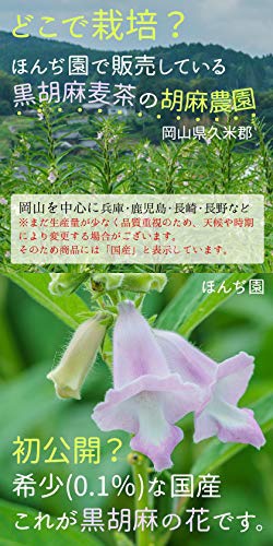ほんぢ園(Honjien) 国産 黒胡麻麦茶の商品画像4 