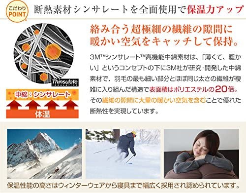 BiLLiON(ビリオン) シンサレート掛け布団 A754の商品画像2 