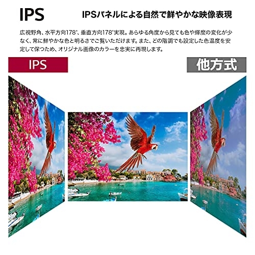 LG Electronics(エルジーエレクトロニクス) フルHDモニター 22MN430M-BAJPの商品画像サムネ2 