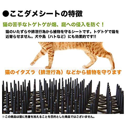DAIM(ダイム) ここダメシートの商品画像6 