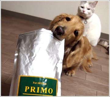 PRIMO(プリモ) ベーシック 3kg ドライフードの商品画像6 