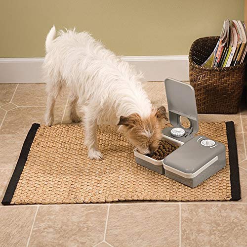 PetSafe(ペットセーフ) おるすばんフィーダー 2食分の商品画像4 