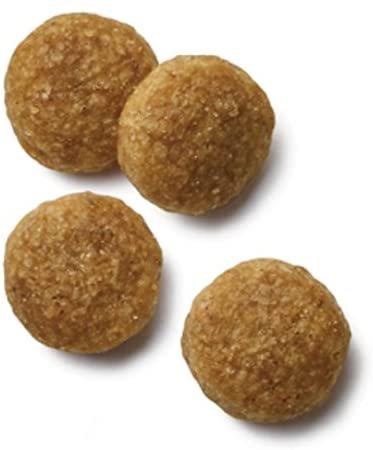 IAMS(アイムス) JPスタイル 和の究み 小粒 1歳からの成犬用の商品画像4 