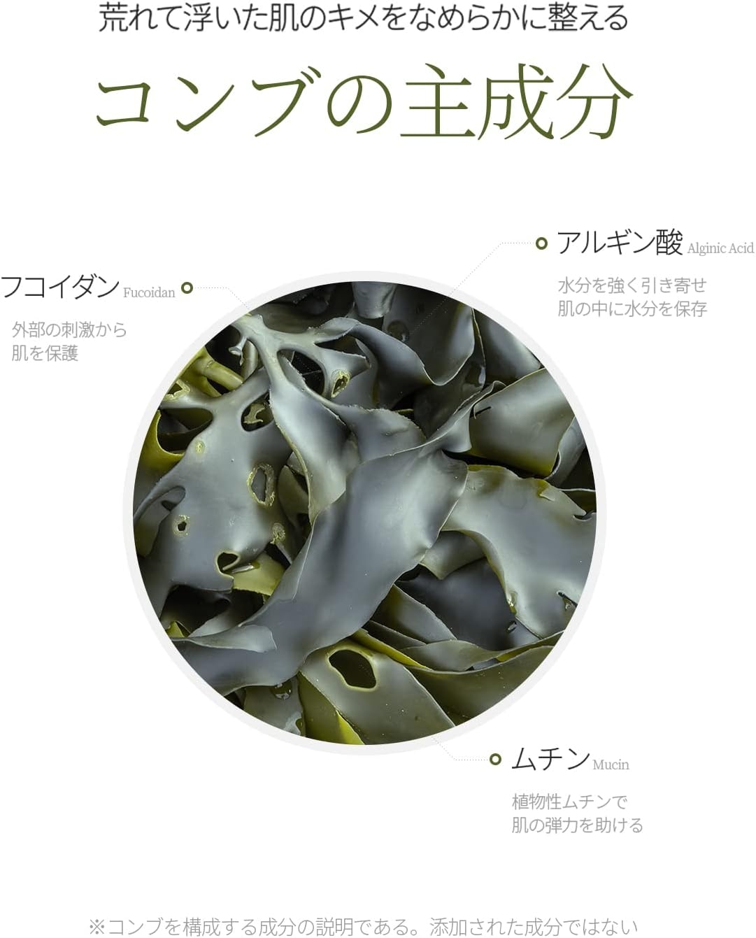 ShionLe(ションリ) ラミナリア80グリナリーセラムの商品画像4 