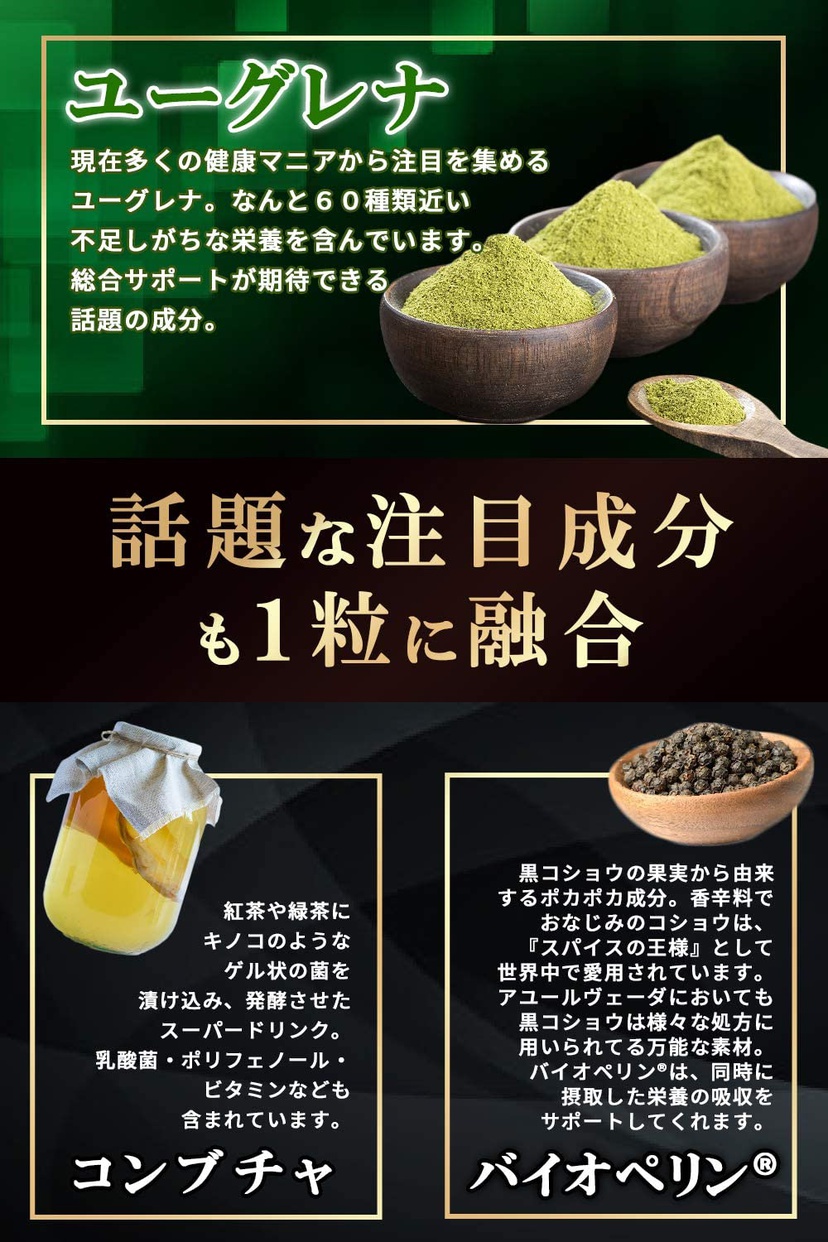 ビクトリーロード コンブチャ × 5種の炭 × 麹 260種の酵素の商品画像7 