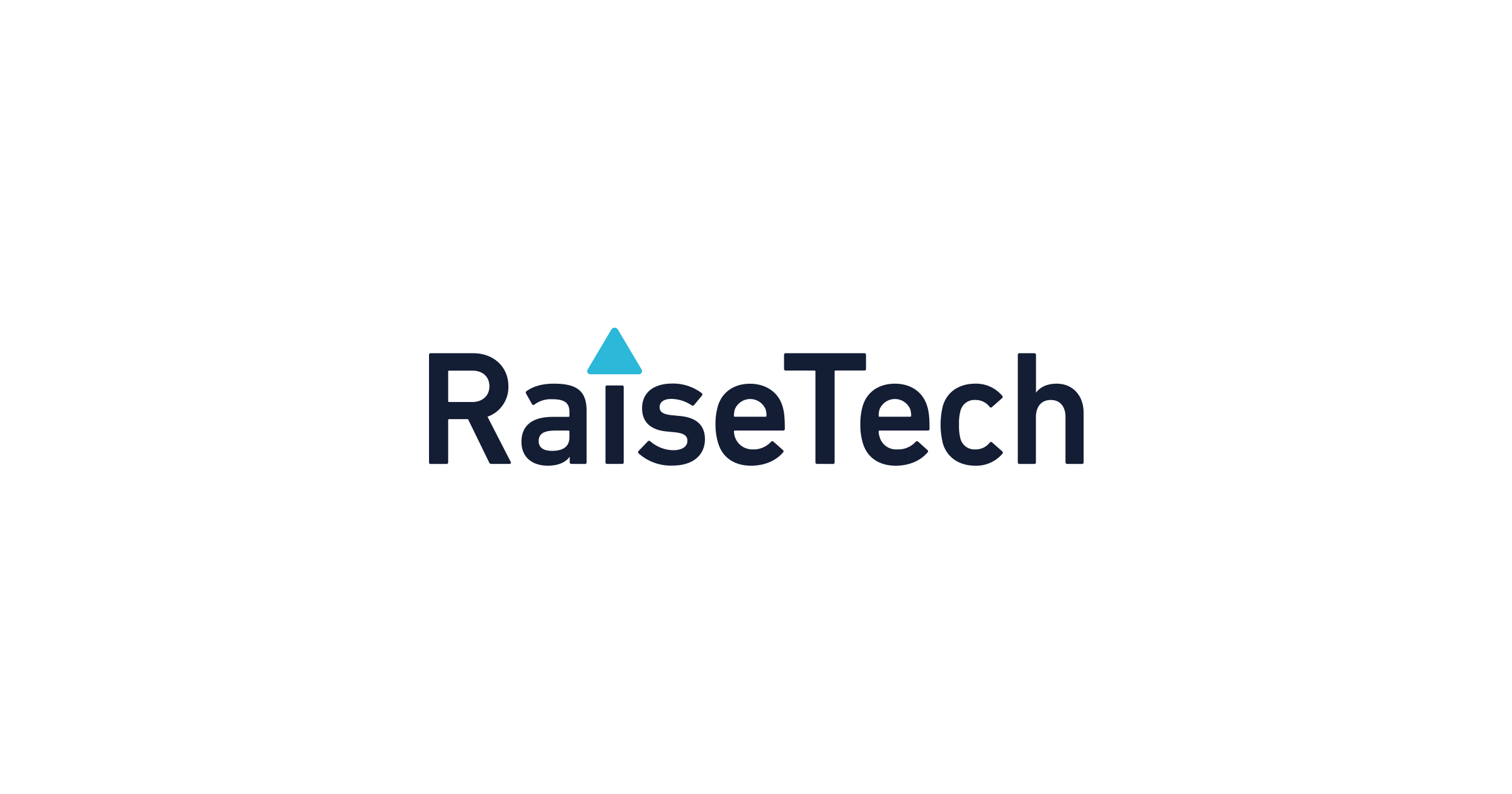 RaiseTech(レイズテック) RaiseTechの商品画像1 