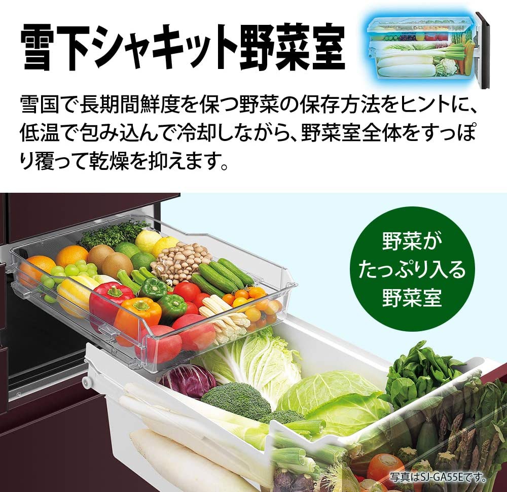SHARP(シャープ) 冷蔵庫 SJ-F502Fの商品画像サムネ4 