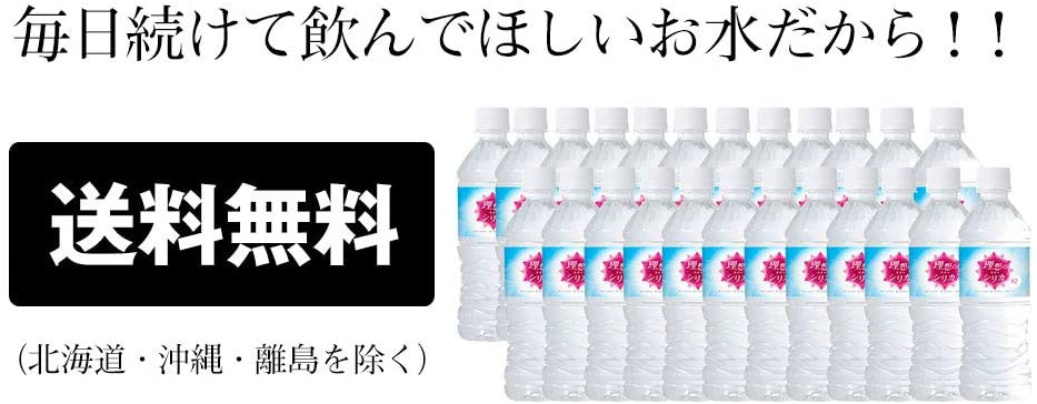 LeMoN(レモン) 高濃度シリカ水 理想のシリカの商品画像9 
