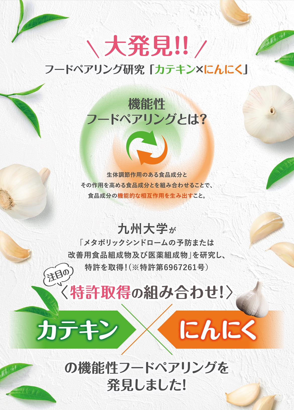 UHA味覚糖 スーパーカテキンDIETの商品画像5 