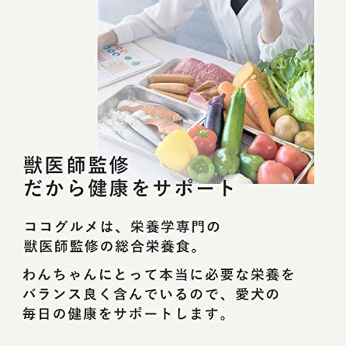 CoCo Gourmet(ココグルメ) ドッグフードの商品画像7 