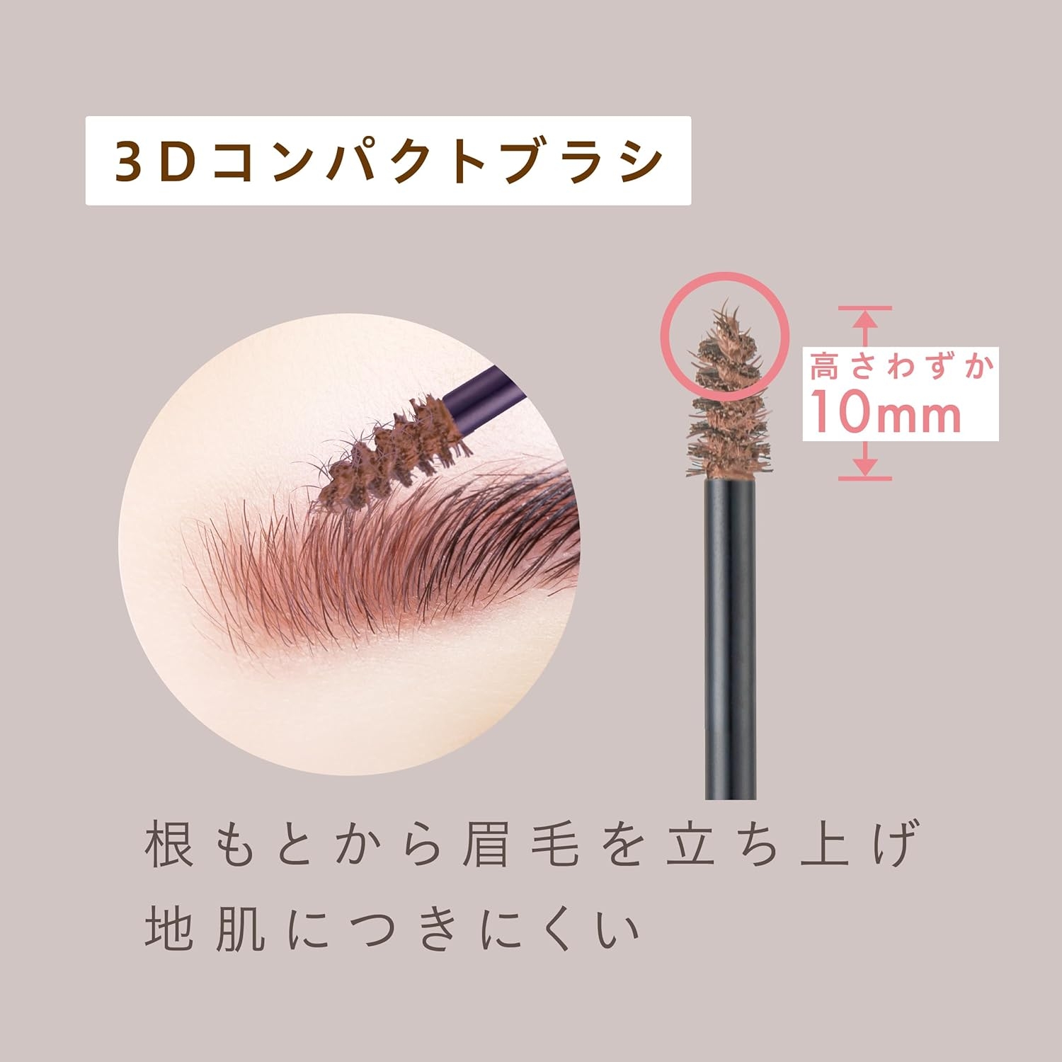 SANA NEW BORN(サナ ニューボーン) カラーリングブロウマスカラの商品画像5