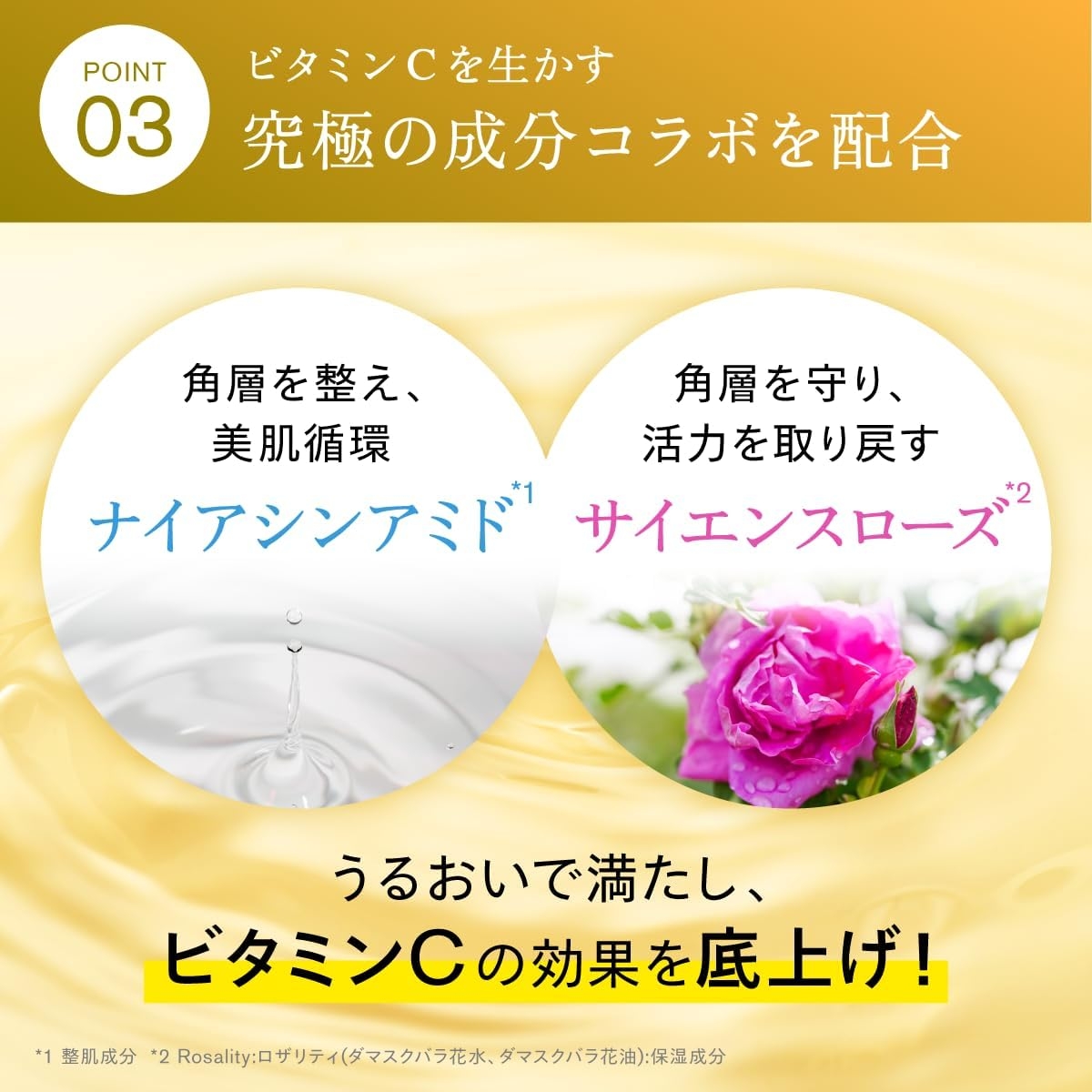 SISI(シシ) ハイジャンプ30の商品画像5 