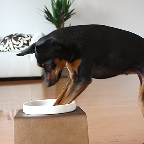 SOLVIDA(ソルビダ) 室内飼育成犬用(インドアアダルト) チキン 1.8kgの商品画像12 