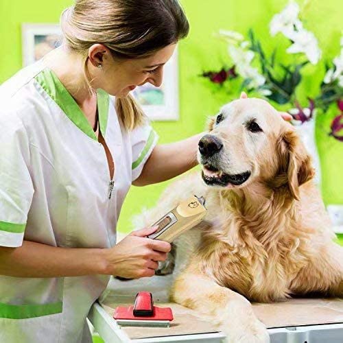 AOOEOU(エーオーオーイーオーユー) ペットバリカン 犬用の商品画像6 