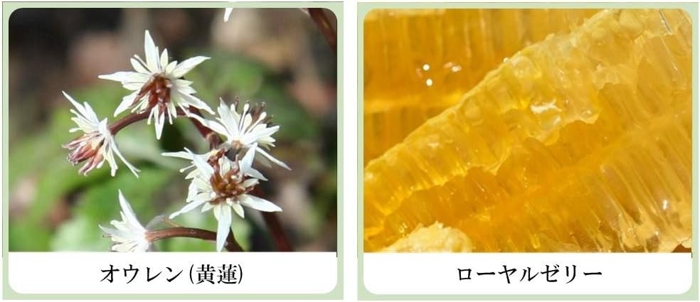 美健漢方研究所 草根木花 ハーブ アストリンゼントローション No.1の商品画像5