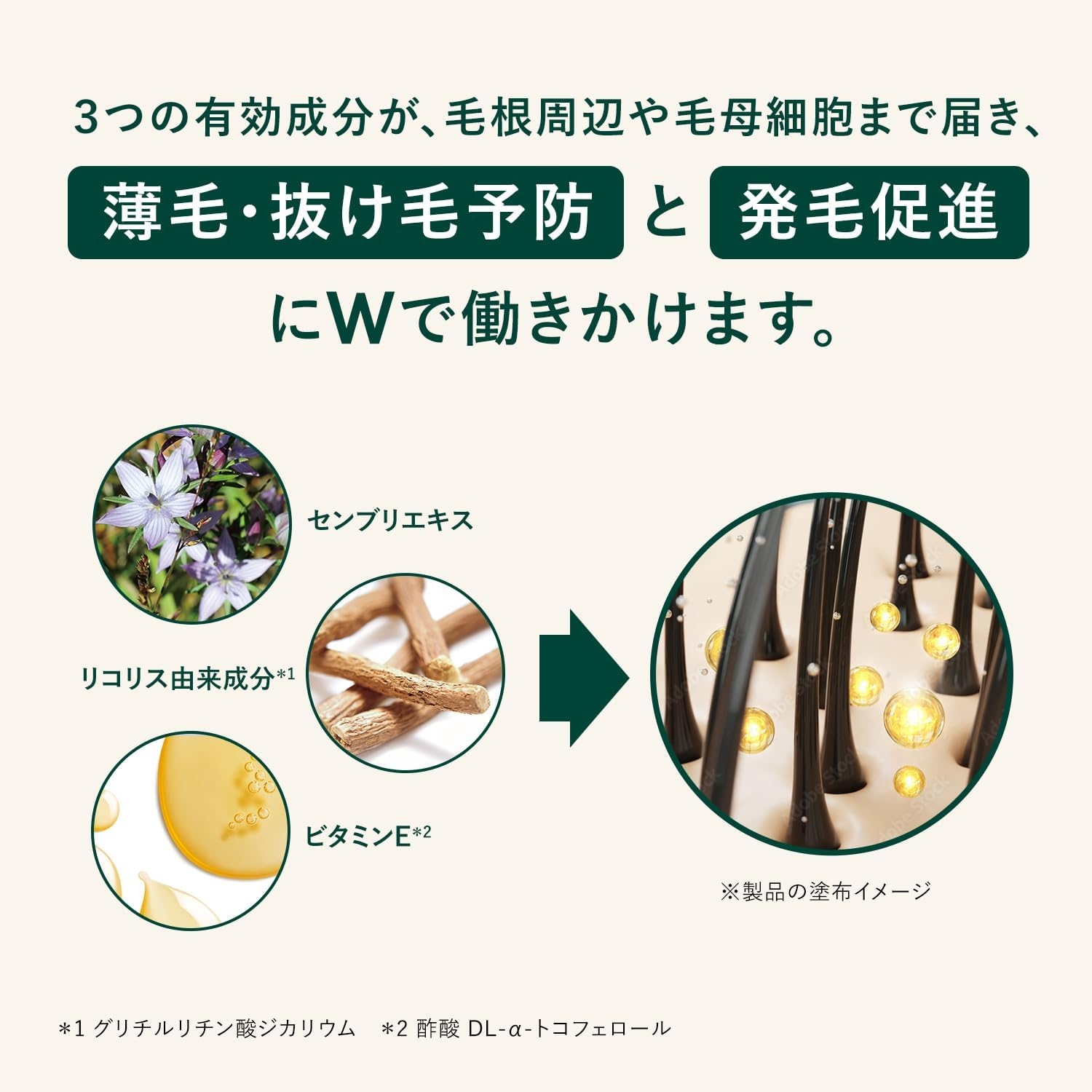 L’OCCITANE(ロクシタン) 薬用 メディカル アンチヘアロスセラムの商品画像5 