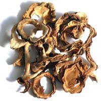 森のこかげ ゴーヤ茶の商品画像2 