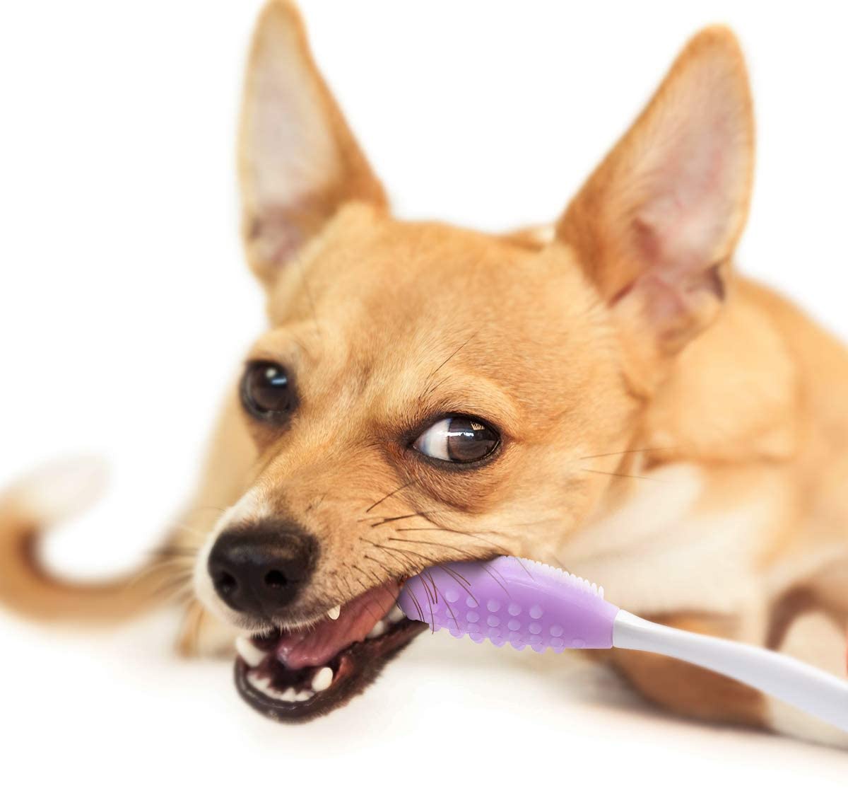 UEETEK(ユーイーテク) 犬用歯ブラシ シリコンの商品画像サムネ5 