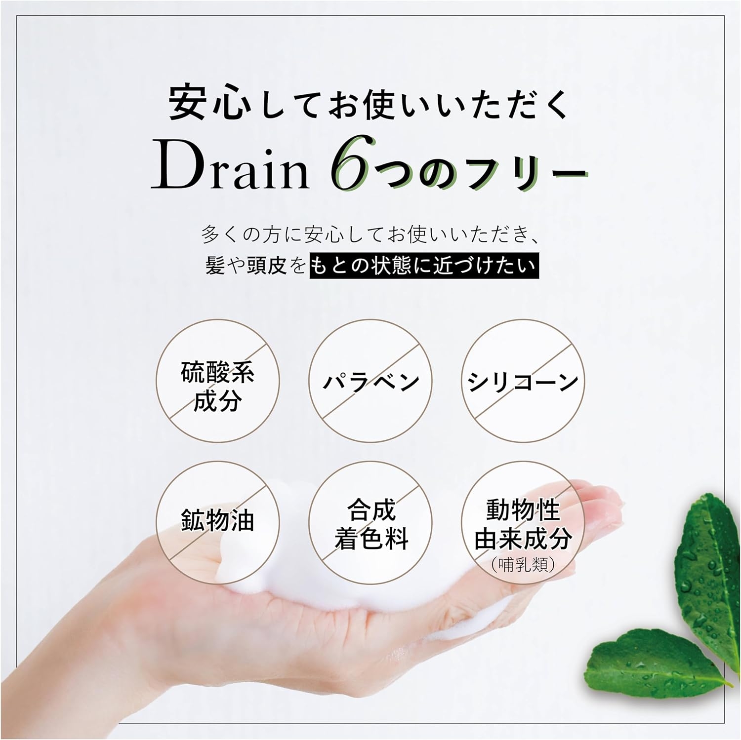 Drain(ドレイン) コンディショニングシャンプーの商品画像5 