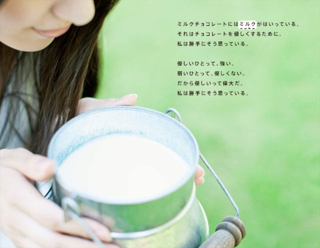 明治(meiji) ミルクチョコレートの商品画像7 