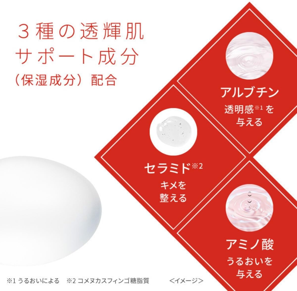Wafood Made(ワフードメイド) 発酵酒粕化粧水 グローの商品画像4 