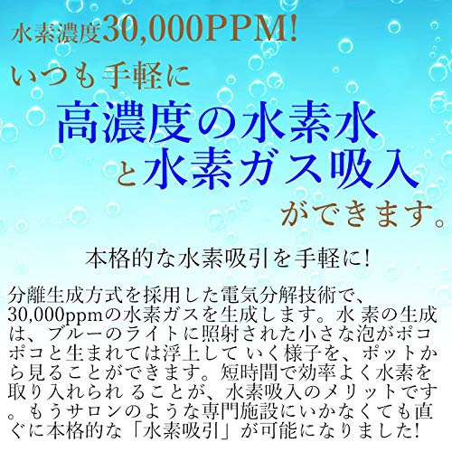 Victory Japan(ビクトリージャパン) ルルドプレミアム lo01の商品画像4 