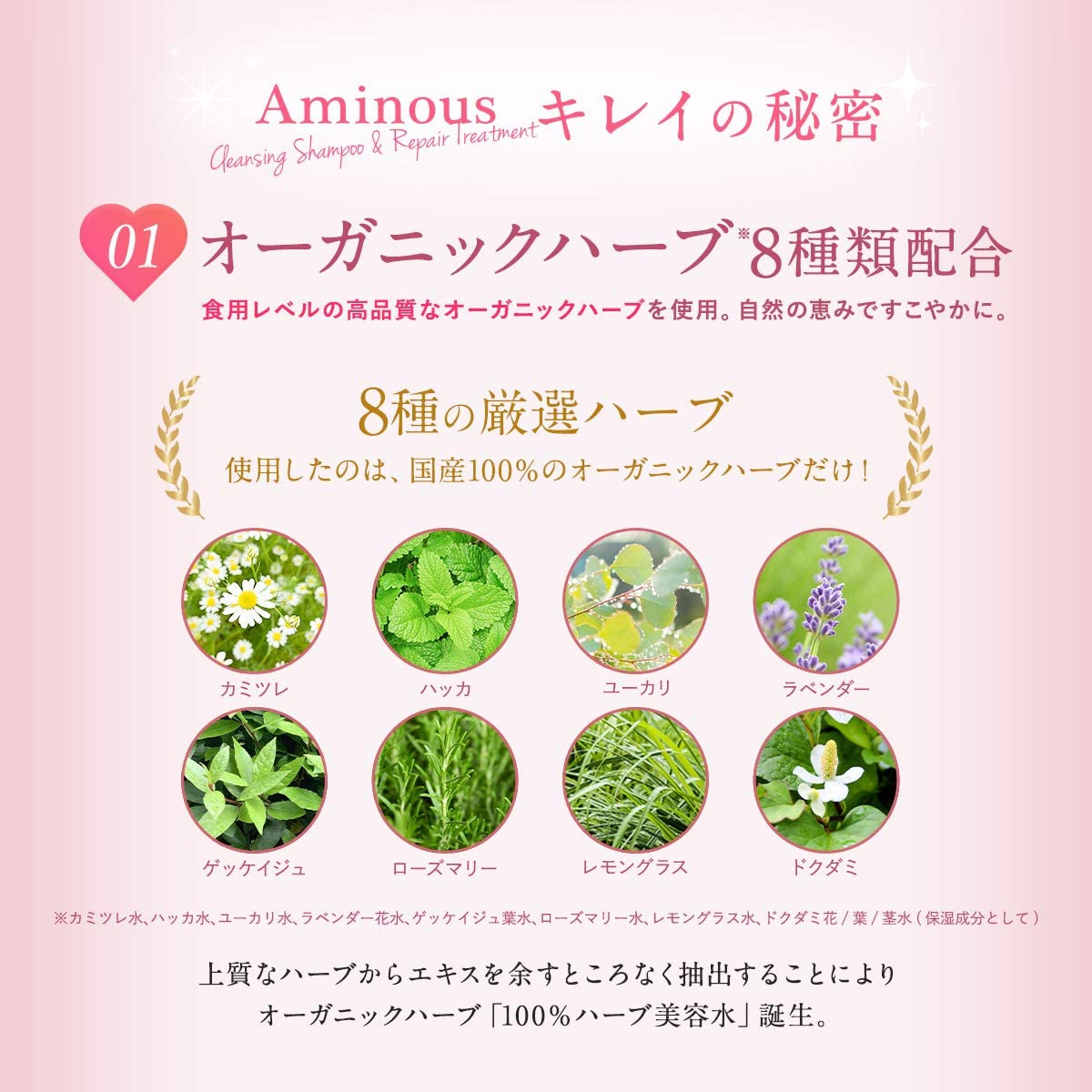 CONTRIBUTION(コントリビューション) Aminous シャンプーの商品画像6 