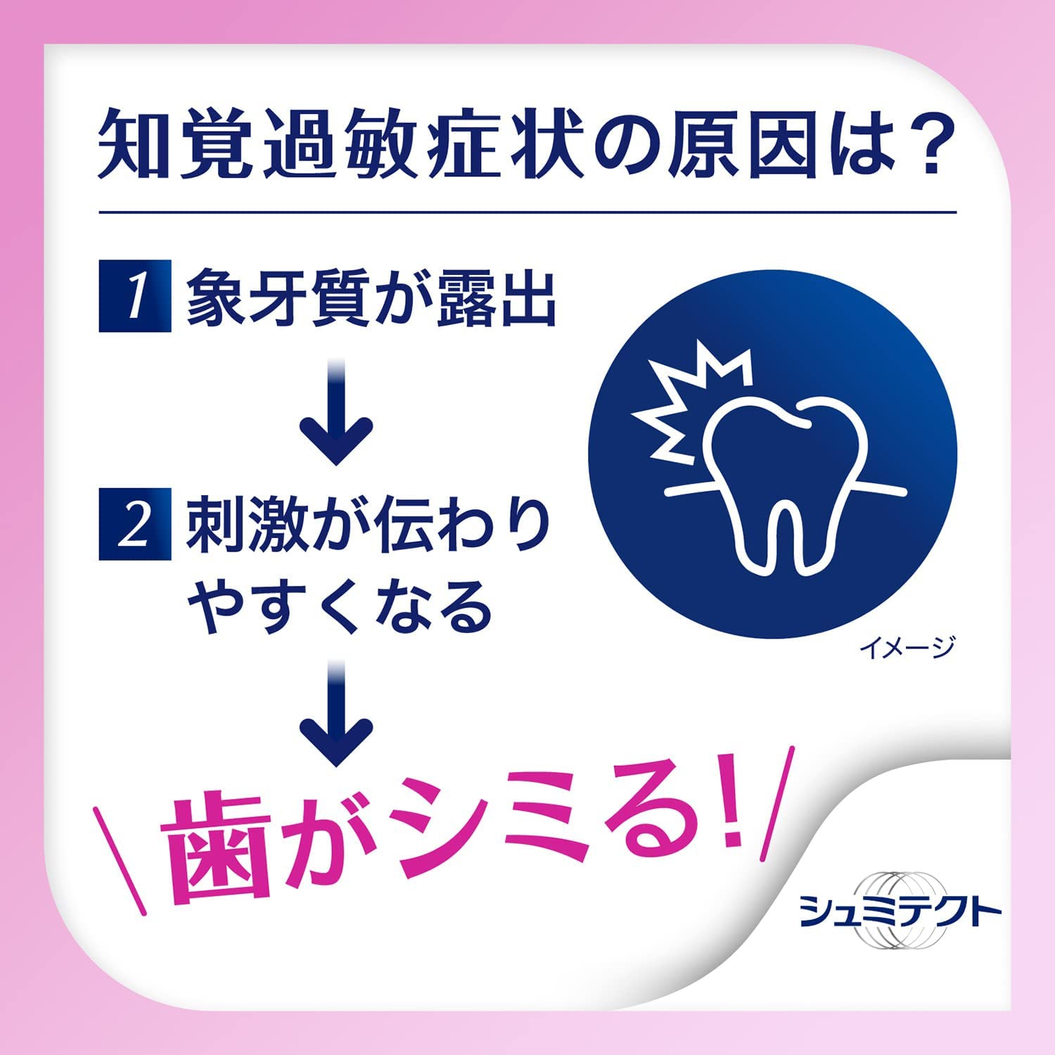 シュミテクト 歯周病ケアの商品画像4 