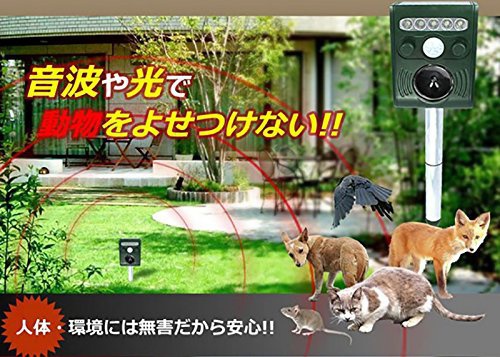 KYPLAZA(ケーワイプラザ) アニマルガーディアンの商品画像5 