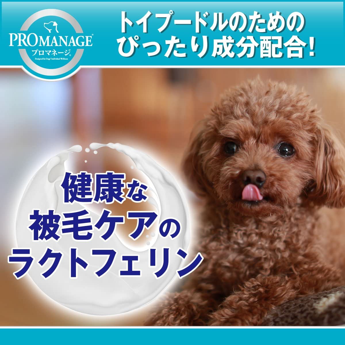 PROMANAGE(プロマネージ) 犬種別シリーズ トイプードル専用の商品画像3 