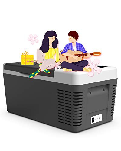 LOSRECAL(ロスレカル) 車載用冷蔵庫の悪い口コミ・評判は？実際に使っ