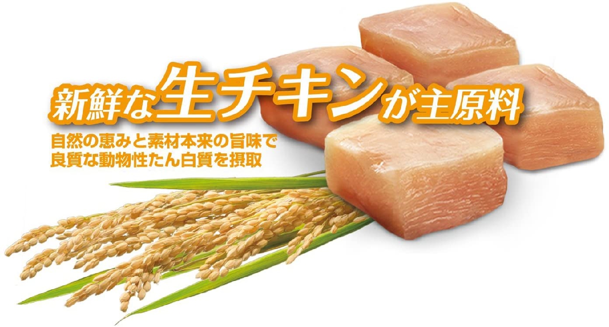 PURINA ONE(ピュリナ ワン) 1歳以上 食にこだわる成犬用 チキン 小粒の商品画像2 