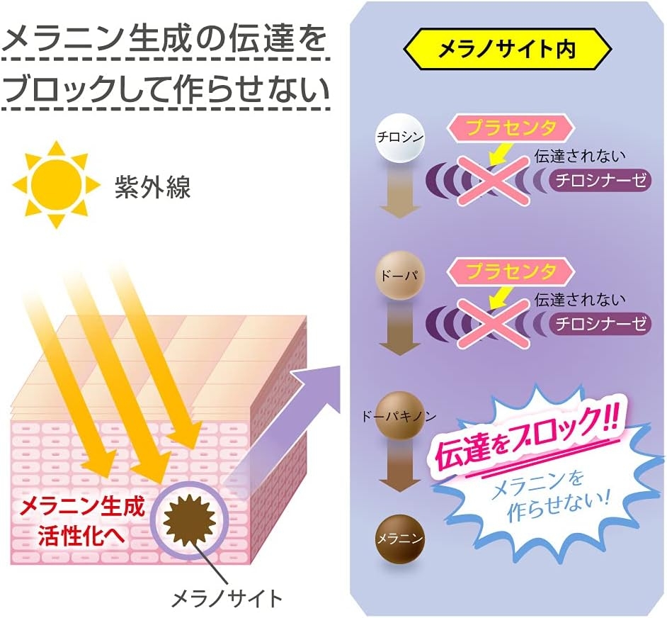 BRAIN COSMOS(ブレーンコスモス) 美白乃美人 ホワイトニングピーリングジェルの商品画像3 