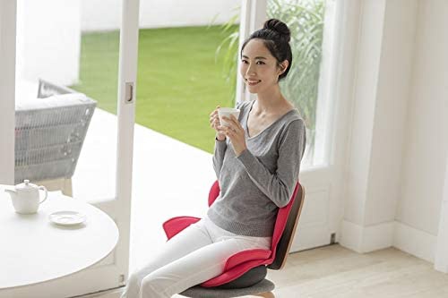 芦屋美整体(アシヤビセイタイ) 骨盤スリムスタイリーエアーの商品画像3 