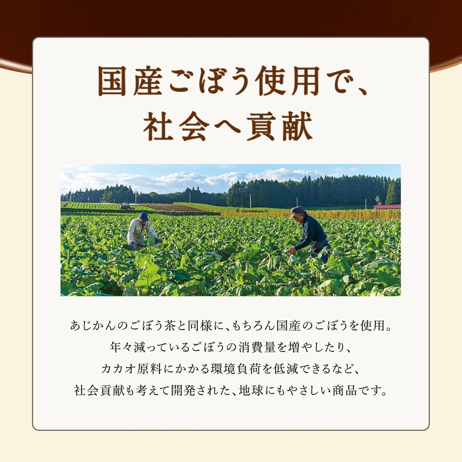 あじかん ゴボーチェ ミルクの商品画像6