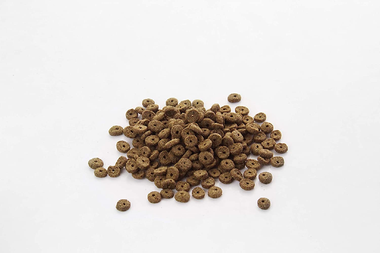 NATURAL DOG FOOD(ナチュラルドッグフード) アランズナチュラルドッグフード・ラムの商品画像6 