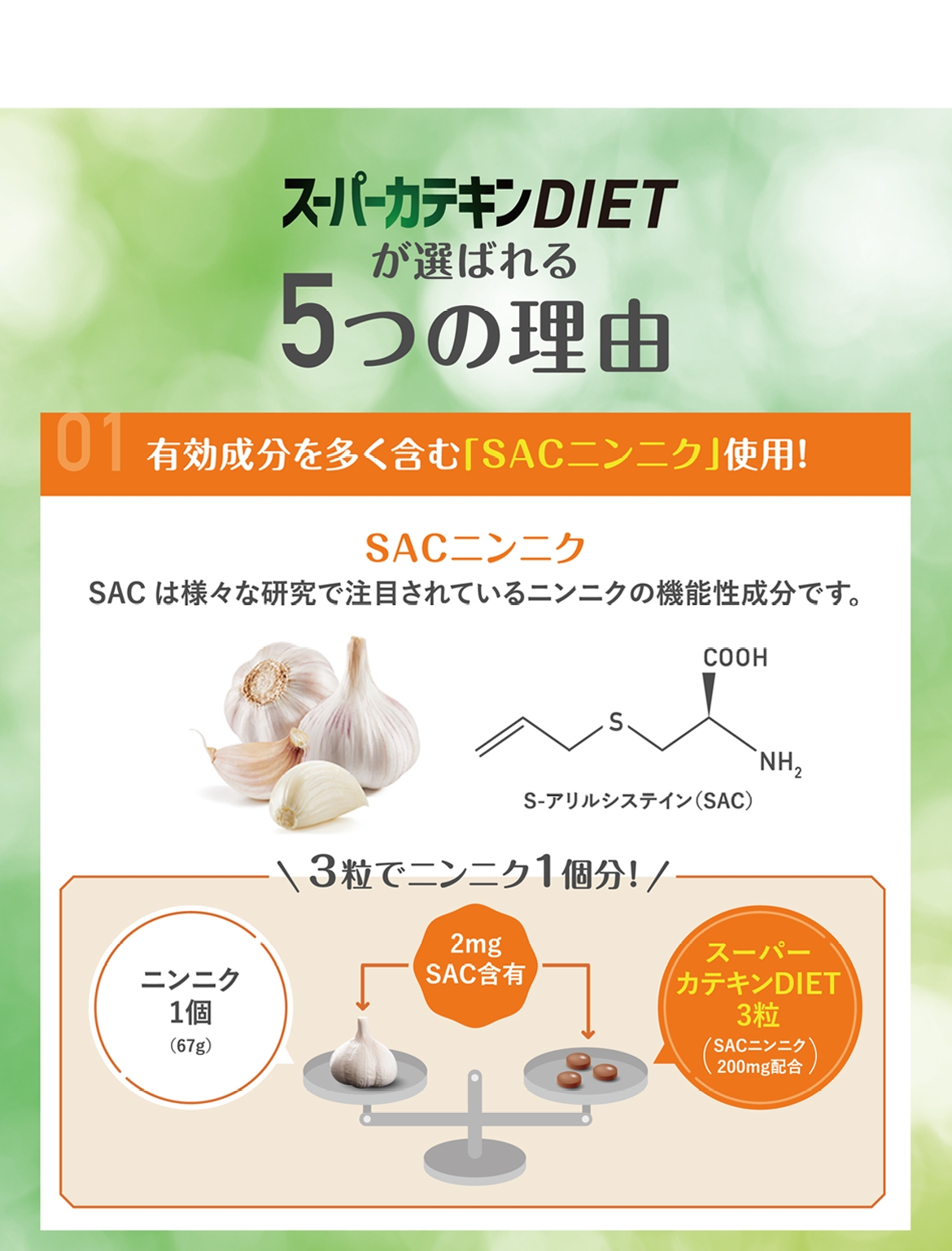 UHA味覚糖 スーパーカテキンDIETの商品画像8 