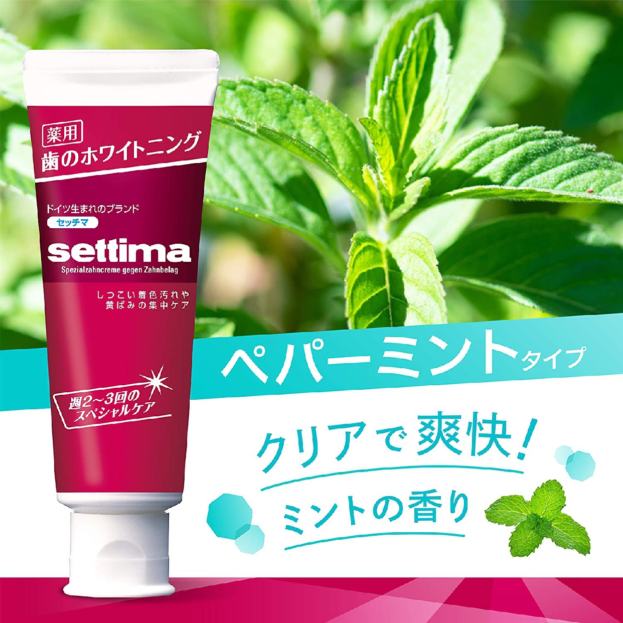 settima(セッチマ) はみがき スペシャルの商品画像10 