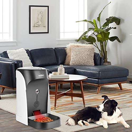 WOpet(ウォペット) カメラ付き自動給餌器の商品画像6 