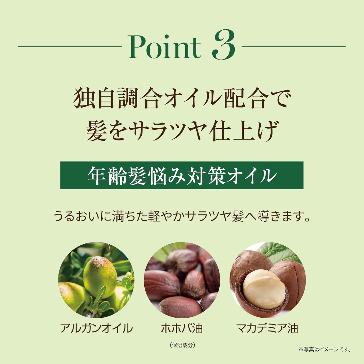 ARGANESE(アルガネーゼ) オイルインカラートリートメントの商品画像7 