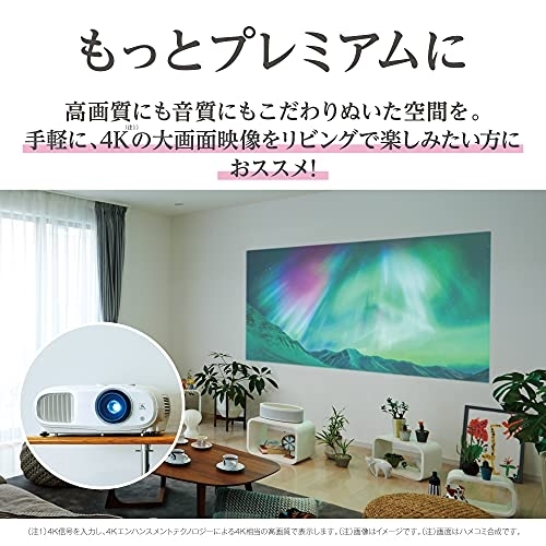 EPSON(エプソン) ドリーミオ EH-TW7100の商品画像2 