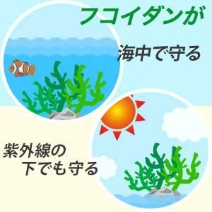 SENCE OF WONDER(センスオブワンダー) オーガニック海藻エキスと日本酒の美容液の商品画像5 