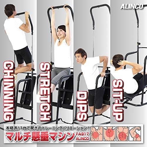 ALINCO(アルインコ) マルチ懸垂マシン FA917の商品画像2 