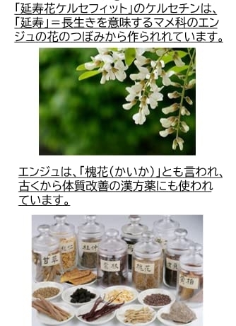 ケルセフィット 延寿花ケルセフィットの商品画像7 