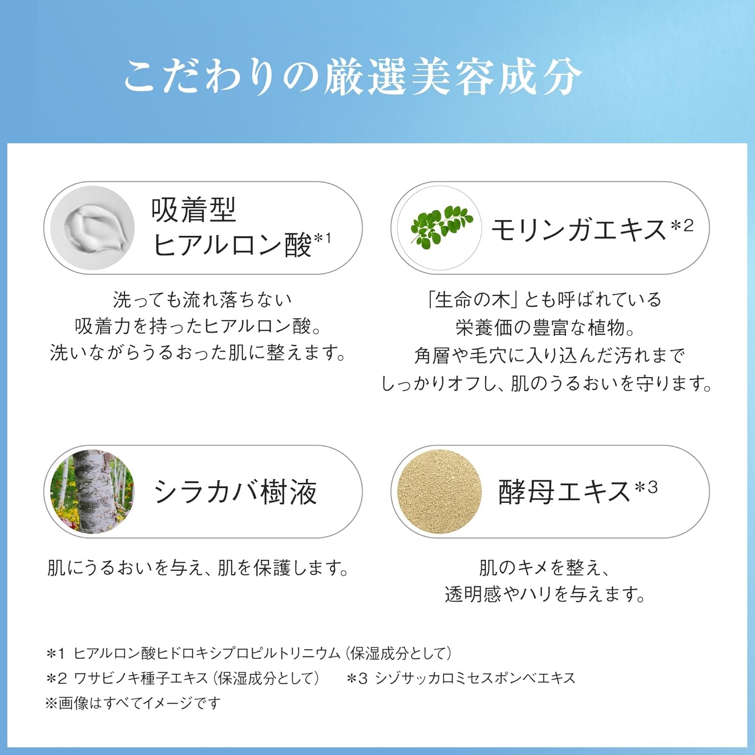 AYURA(アユーラ) フォーミングウォッシュαの商品画像4