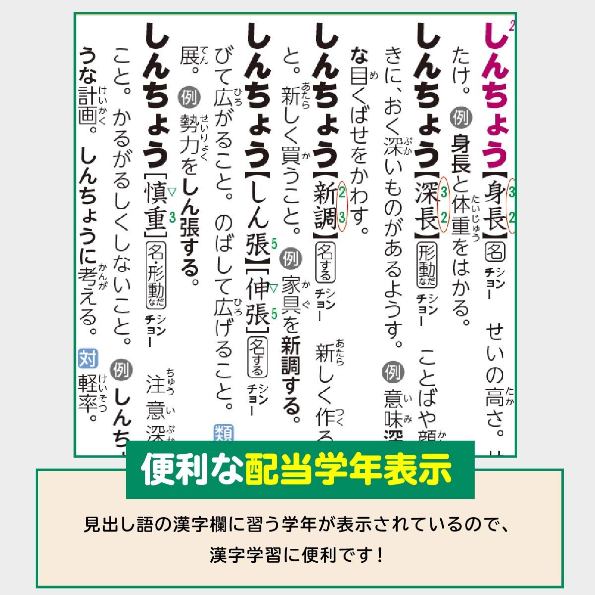 小学館(SHOGAKUKAN) 例解学習国語辞典 第十一版の商品画像5 