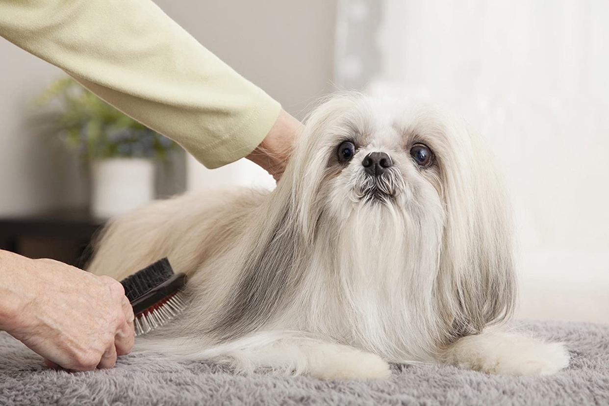 JOYPET(ジョイペット) 水のいらない泡シャンプー 猫用の商品画像5 