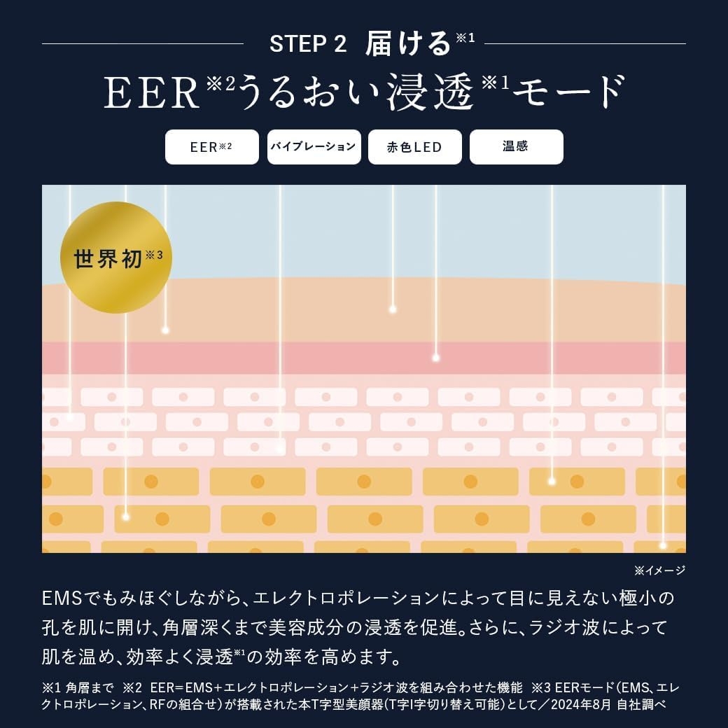 DISM(ディズム) EMS EER メディスキンケアデバイスの商品画像4 